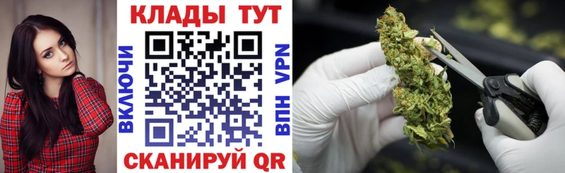 Где найти наркотики Менделеевск ОМГ ОМГ tor  Мефедрон  Каннабис  Экстази  Alpha PVP  COCAIN  Галлюциногенные грибы 